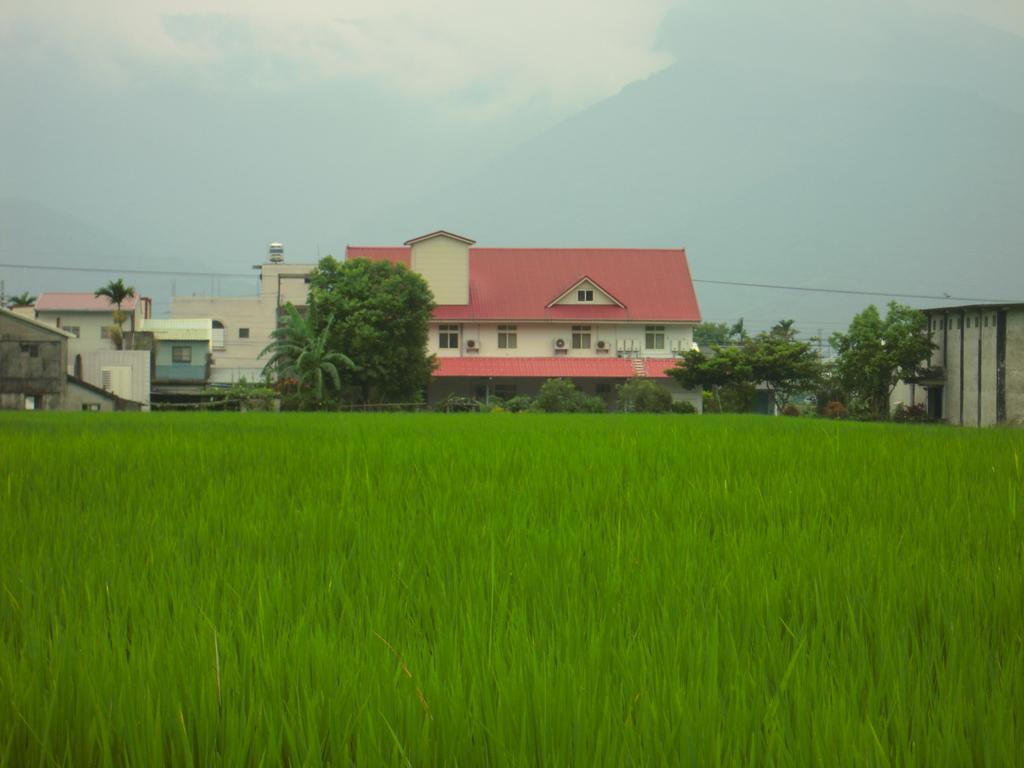 Golden Flower Homestay Yuli Ngoại thất bức ảnh